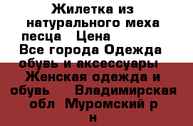 Жилетка из натурального меха песца › Цена ­ 18 000 - Все города Одежда, обувь и аксессуары » Женская одежда и обувь   . Владимирская обл.,Муромский р-н